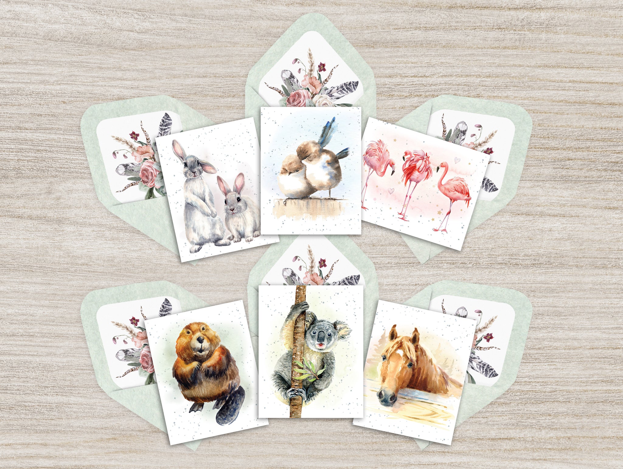 Hopper Studios Enclosure Cards - Mixed 6 packs
