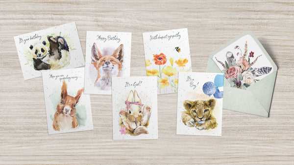 Hopper Studios Greeting Cards - Mixed 6 packs
