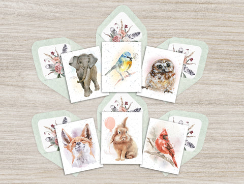 Hopper Studios Enclosure Cards - Mixed 6 Packs